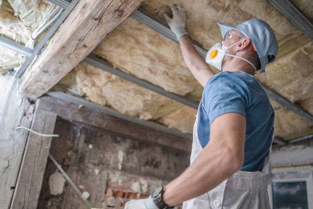 Best DIY Insulation Kits and Guidance in Lake Tansi, TN