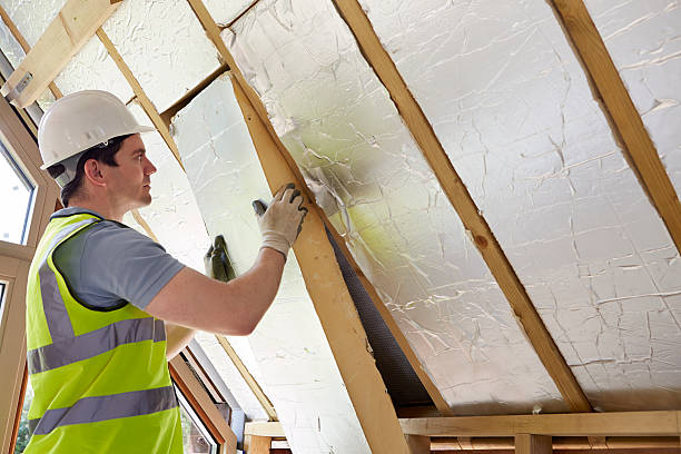 Best Cellulose Insulation in Lake Tansi, TN