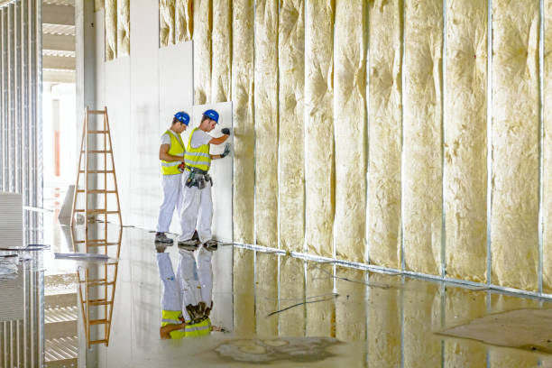 Best Fiberglass Insulation in Lake Tansi, TN